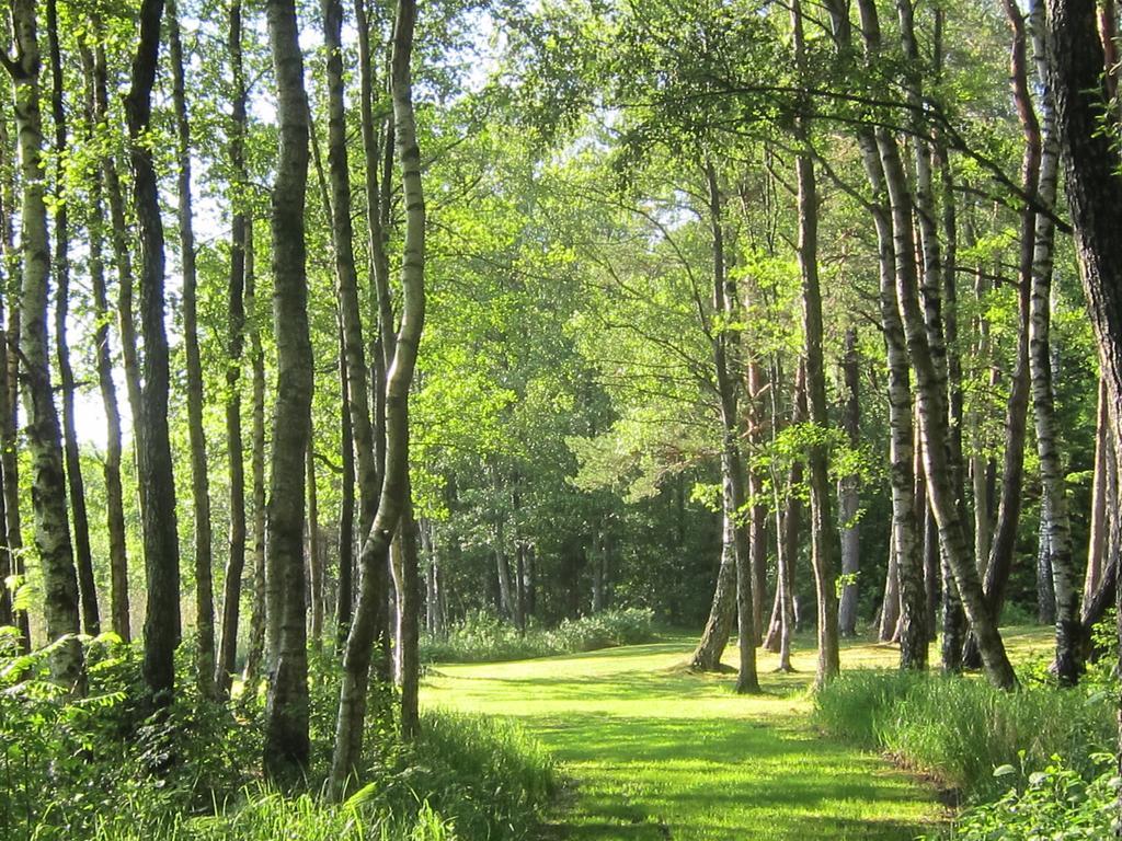 Sikhall Camping Sorbo  Luaran gambar